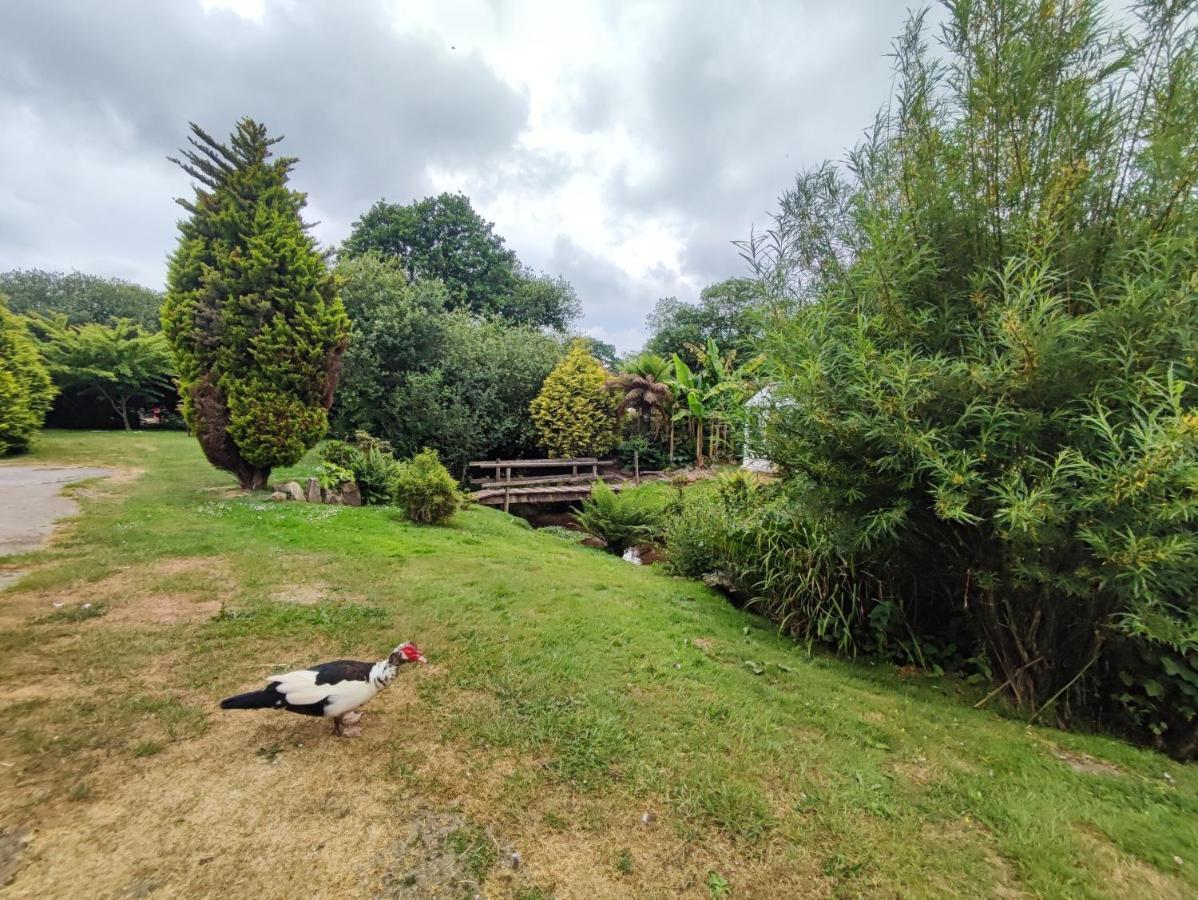 Tree Fern Barn Villa St Austell Exterior foto